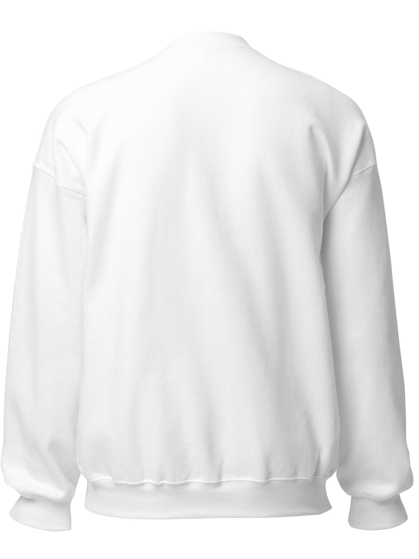 Top Gun Firebirds T-Shirt and Sweatshirt